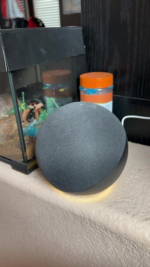 87K views · 311 reactions | Don’t get smart with me | The Ryan And Amber Show | Facebook