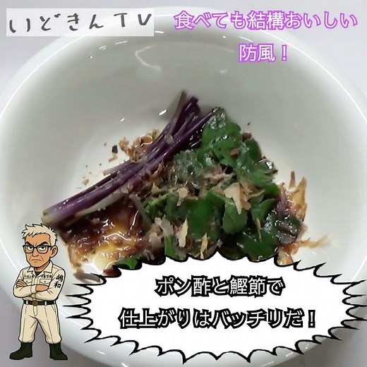 【防風】スーパーで見かけない？希少食材の隠れた魅力【あしらい御用達】 #防風 #ぼうふう #希少野菜 #旬の食材 #薬味