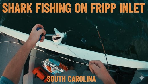 Shark Fishing on Fripp Inlet, South Carolina