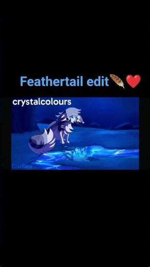 feathertail edit ❤️ protect you love no matter what ❤️