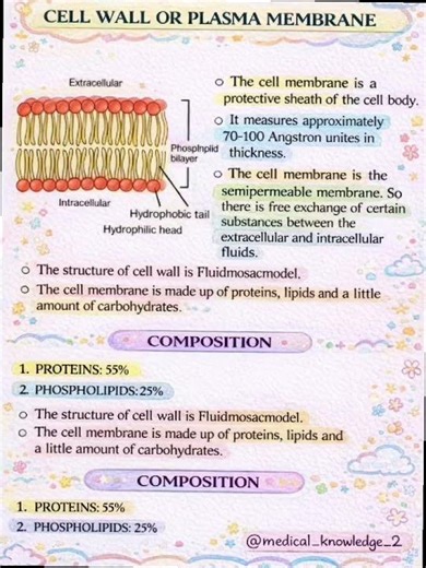 Anatomy and Physiology of human Cell explained Simply