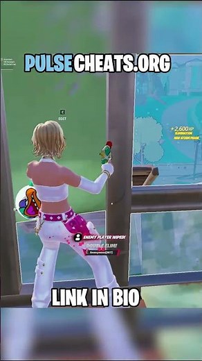 Using The Best Fortnite Cheat