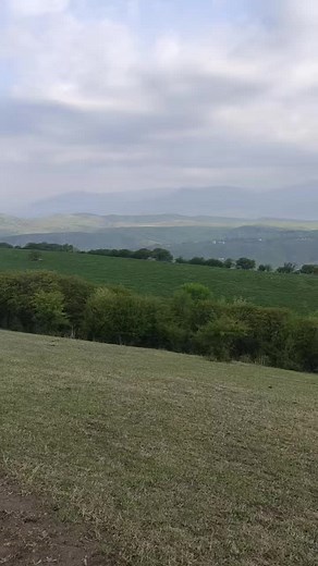 Panoramic View of Serene Hilly Countryside Landscape
