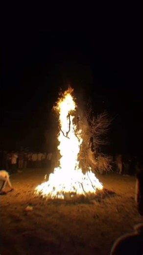 Happy Holi 🥳❤️ #twitter #instagram #shorts #viral #facebook #reels #holi #trending #iran #israel