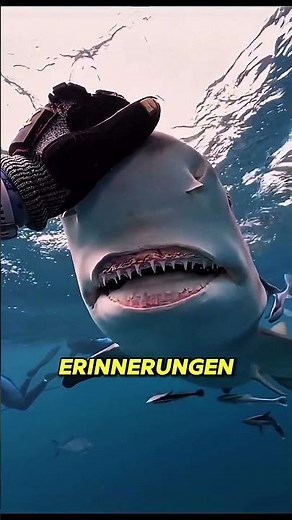 He released a shark… what happened years later is unbelievable 😱 #UnbelievableMoments