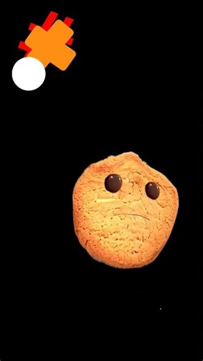 13 de novembro de 2025