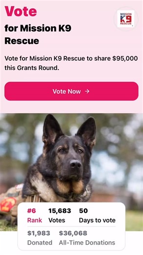 127 reactions · 16 shares |  Please take a moment to vote for Mission K9 Rescue on MyGivingCircle! Your vote helps us continue rescuing, reuniting, and caring for retired working dogs who gave everything in service.  https://mygivingcircle.org/mission-k9-rescue/vote | Mission K9 Rescue | Facebook