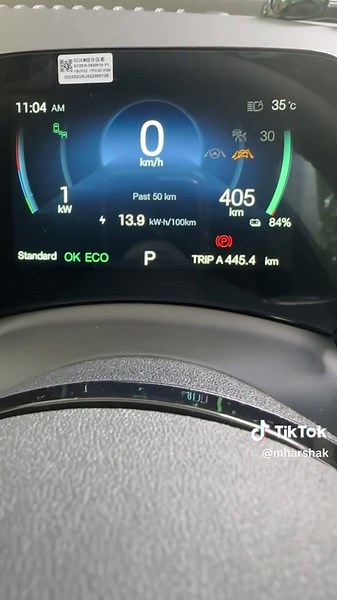 BYD Tire Pressure Monitoring System Explained