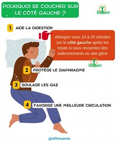 Pourquoi se coucher sur le côté gauche ? 1️⃣ Aide la digestion Favorise le passage des aliments dans l’intestin grêle. Réduit les risques de reflux gastrique. 2️⃣ Soulage les gaz La gravité aide les gaz à circuler vers le rectum. Réduit l’oppression et l’inconfort. 3️⃣ Protège le diaphragme Moins de pression sur le diaphragme, facilite la respiration. 4️⃣ Favorise une meilleure circulation Améliore la circulation sanguine vers le cœur grâce à la position naturelle des organes. | EffetSanté