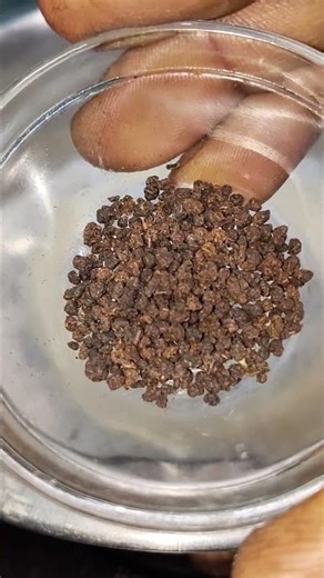 Refreshing Masala Chai Recipe ☕ | Perfect Evening Tea.