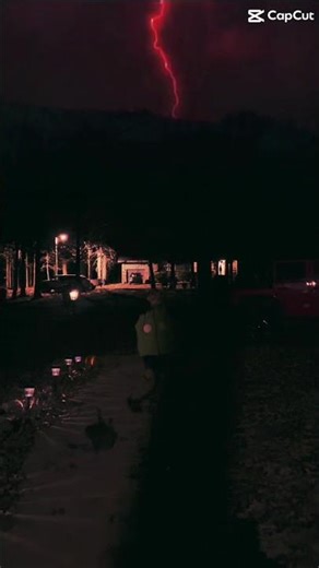 #aimkid #cat #therian