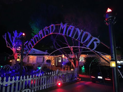 Halloween Light Show 2025 - Alien