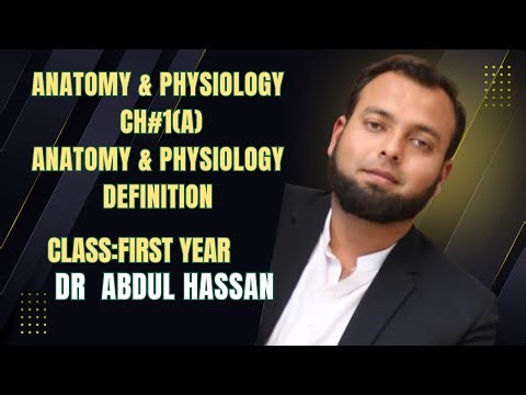 Introduction to Anatomy and Physiology: Body Structure, Functions, Principles for Beginners Handbook