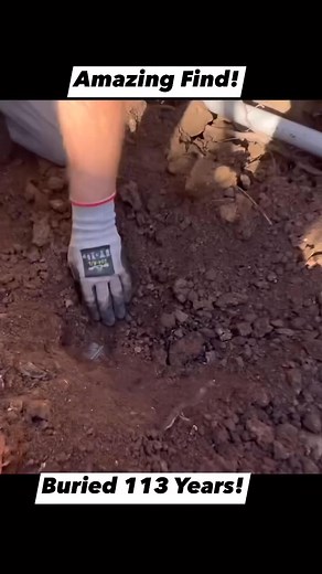 1.5M views · 10K reactions | This Was Buried For Over 100 Years! 勞 | Adventure Archaeology And Southern Diggers | Facebook