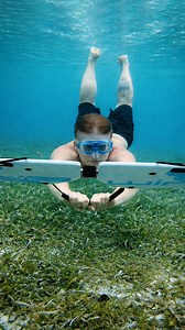 Flying underwater caught on camera