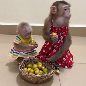 Queen Jenny Bring All Staffs For Mom Prepare Morning Routine | Mr Jacky