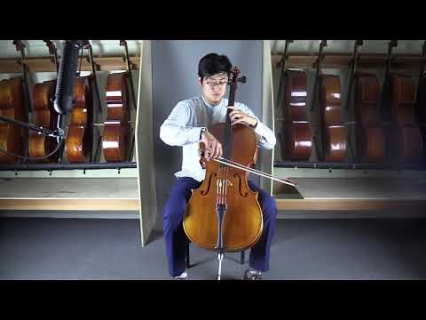 Demonstration of Lothar Semmlinger Cello