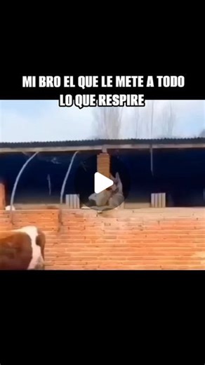 Jai Loco on Instagram