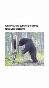 When you find who’s to blame for all your problems | Ashley Parry
