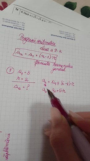 Diana Elena Păcurar pe TikTok