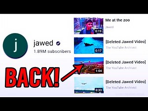 Jawed's Deleted Videos Are BACK? (revealed!)