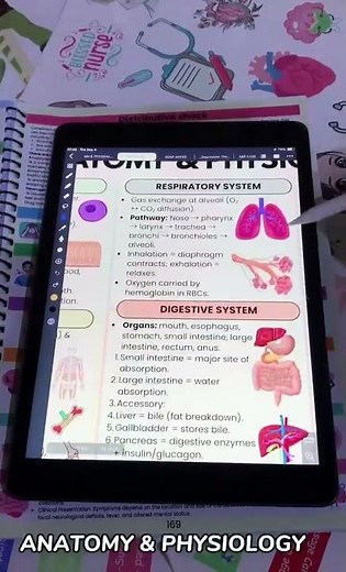 HESI A2 Nursing Test Quick Study Guide | Math, Biology, Chemistry & Practice Questions