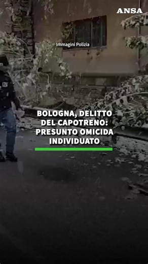 Agenzia ANSA on Instagram: "Bologna, delitto del capotreno: individuato il presunto omicida. "Catturato" dalle telecamere di sorveglianza. La vittima trovata ieri sera presso la stazione. #ANSA"