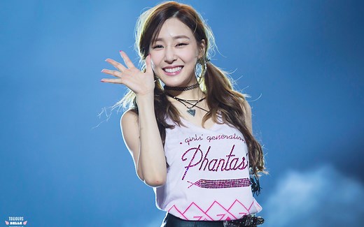 【黄美英Tiffany】Girls’Generation 4th tour Phantasia四巡演唱会饭拍合集