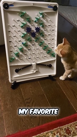5 fun cool marble machines everyone should see 😎 #shorts