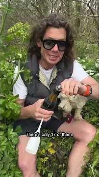 🥂🍾CHAMPAGNE🍾🥂 AND WILD 🧄GARLIC🧄