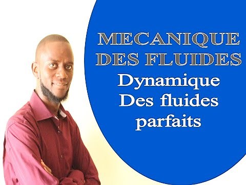 Fluid mechanics: Dynamics of perfect fluids