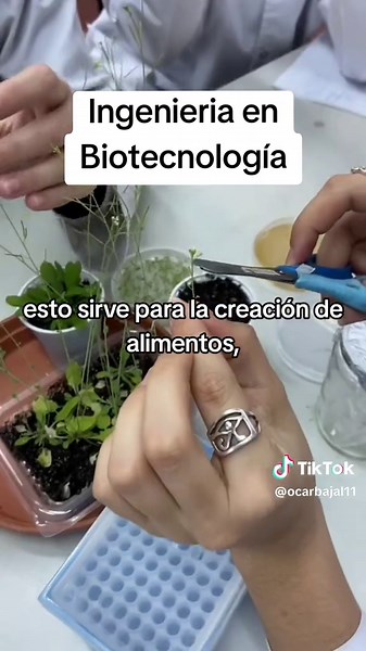 Biotecnología esa ingenieria que pocos conocen y cumple un papel importante. #ingenieria #engineer #vidauniversitaria #engineering #aprendeentiktok #estudiar #honduras #peru #mexico #colombia #ecuador #bolivia #estudiantedeingenieria #estudiantes #fyp #uni #interesting #curiosidades #tiktok #parati #top #consejos #quimica #bioquimica #chemistry #biologia #biology #laboratorio #ingelatam #ingenieriaquimica #aprendeentiktok #biotechnology #biotecnologia #biotech #biotec