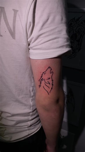 #thelabtattoo #albania🇦🇱 #tirana #kamez #tattooartist #albania #wolf #wolftattoo