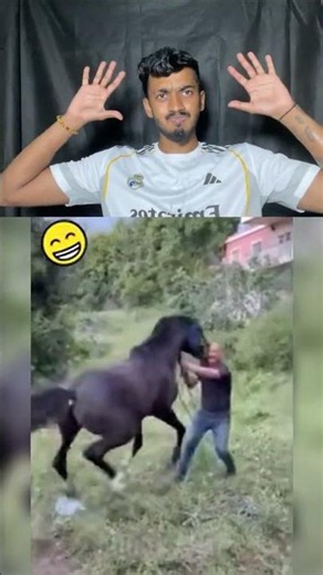 Try not to laugh challenge 2😂#shorts #funny