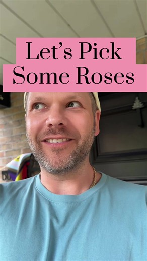 Picking Fresh Roses from My Zone 6b Cut Flower Garden