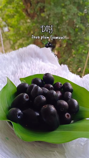 DIY java plum (jamun)🌿#shorts #viralvideo #viralshorts #diy #craft #handmade #jamun #fruit