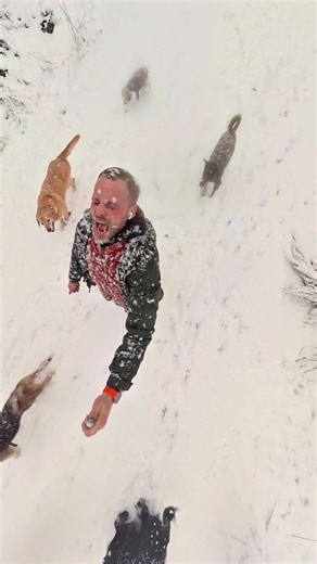 Mastering the Art of Catching Snowflakes