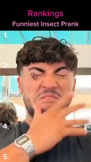 Ranking The Funniest Insect Pranks Ever