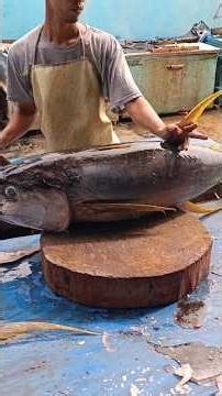 Skills Luarbiasa Memotong Tuna Segar #Fish #Fishcutting #Tunacutting #Seafood