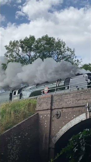 Merchant navy 35005 ‘Canadian pacific’ passing over a bridge (the watercress line)