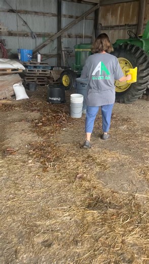 Exploring Chicken Farming Practices and Techniques