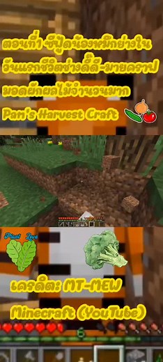 ตอนที่1/3 จบ Mod Pam's Harvest Craft#minecraft #botmtmewminecraft #fypシ #modpamharvestcraft
