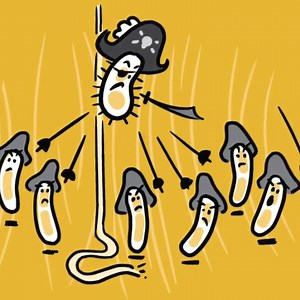 2.3K views · 56 reactions | Microscopic creatures-including bacteria,...