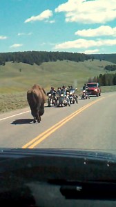 This ain’t your regular road rage.😎 | Harley Davidson People