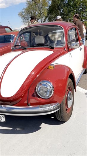 VINTAGE CAR