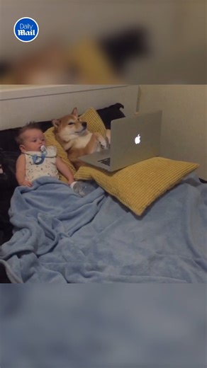 14K views · 83 reactions | They are such a mood! | Daily Mail Video | Facebook