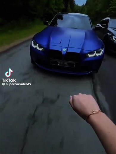 blue cheetah (@blue.cheetah8)’s videos with original sound - blue cheetah