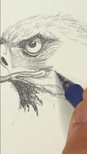 How to Draw a Bald Eagle #july4th #baldeagle #drawing