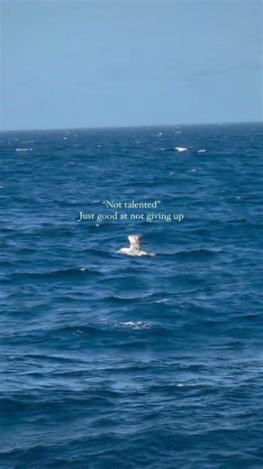 #microscope #life #lifescience #motivation #academiclife #academicproblems #academicworks