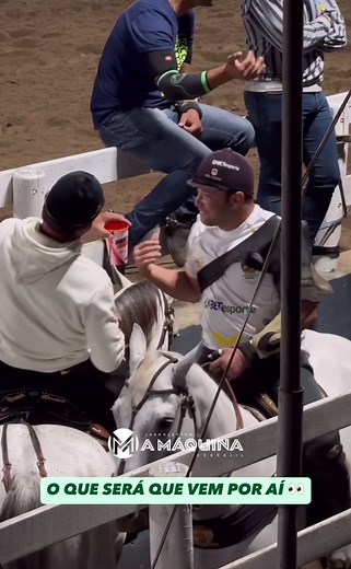 Exploring Vaquejada: Thrills of Horse Racing in Brazil